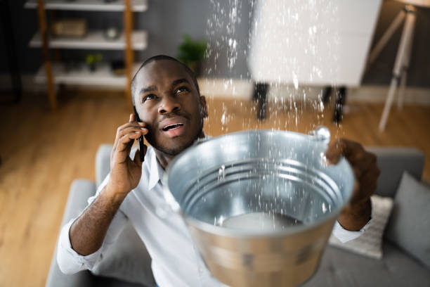 Best Professional water damage repair  in Geneva, OH
