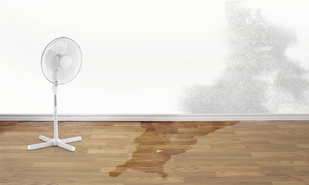 Best Local water damage restoration  in Geneva, OH