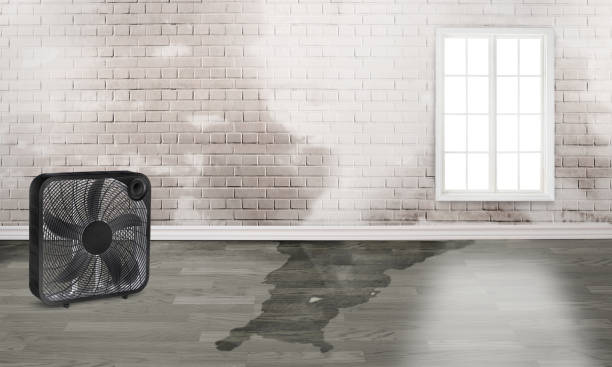 Best Ceiling water damage repair  in Geneva, OH