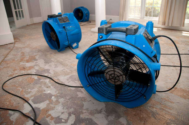 Best Fire Damage Restoration  in Geneva, OH