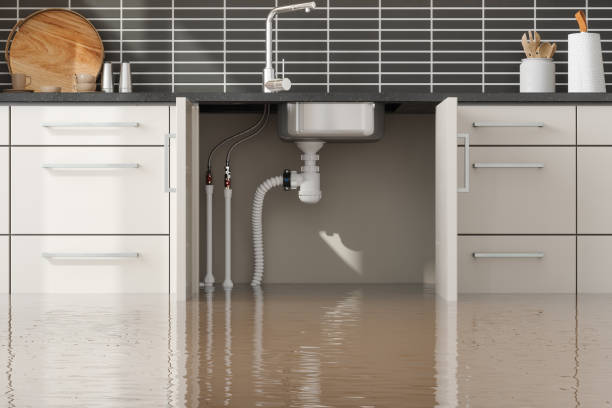 Best Water damage repair service  in Geneva, OH