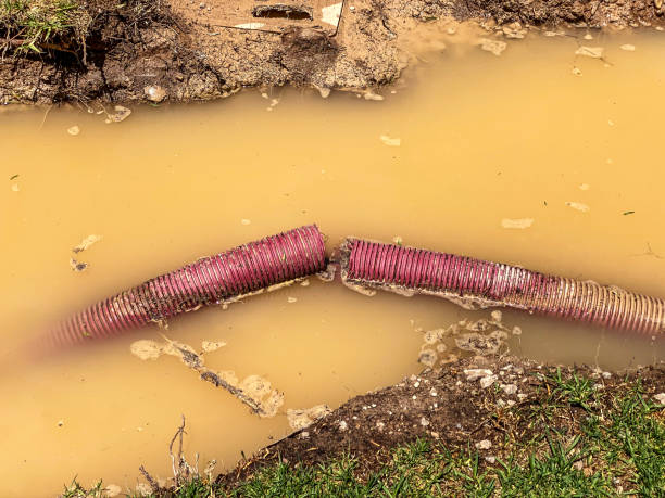 Best Mold removal after water damage  in Geneva, OH