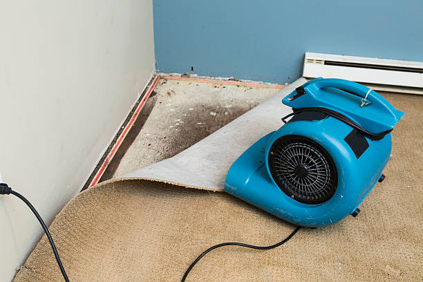 Best Basement water damage restoration  in Geneva, OH